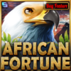 AFRICAN FORTUNE slot